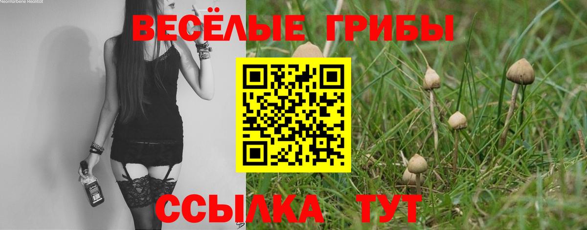 Галлюциногенные грибы Magic Shrooms Видное