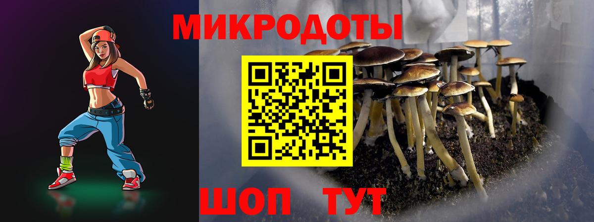 Галлюциногенные грибы Psilocybine cubensis  Галлюциногенные грибы Cubensis  Видное  Вход с VPN 